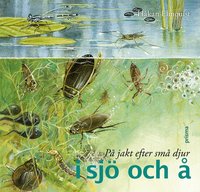 P� jakt efter sm� djur i sj� och � (kartonnage)