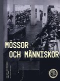 Mssor och mnniskor : CTH Hatt och mssfabrik 1885-2004