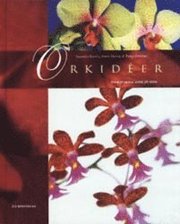 Orkid�er (inbunden)
