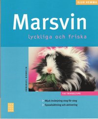 Marsvin (h�ftad)