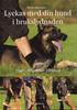 Lyckas med din hund i brukslydnaden : L�gre, H�gre och Elitklass
