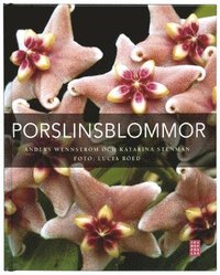 Porslinsblommor (inbunden)
