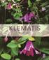 Klematis
