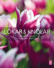 L�kar & kn�lar (inbunden)