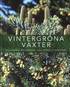 Vintergr�na v�xter