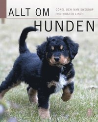Allt om hunden (rev) (inbunden)