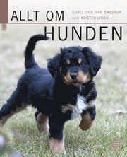 Allt om hunden (rev) (inbunden)