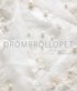 Guiden till dr�mbr�llopet
