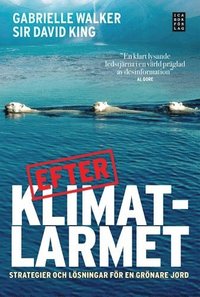 Efter klimatlarmet : strategier och l�sningar f�r en gr�nare jord (h�ftad)