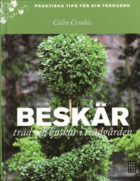 Besk�r tr�d och buskar i tr�dg�rden