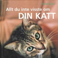 Allt du inte visste om din katt (inbunden)