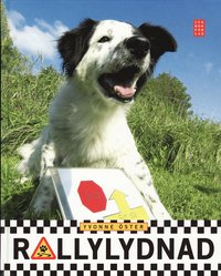 Rallylydnad (inbunden)