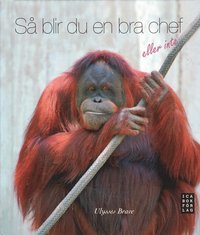 S� blir du en bra chef eller inte (inbunden)