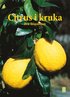 Citrus i kruka