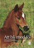 Att bli med f�l
