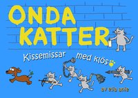 Onda katter : kissemissar med kl�s (inbunden)