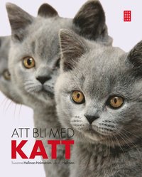 Att bli med katt (inbunden)