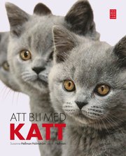 Att bli med katt (inbunden)