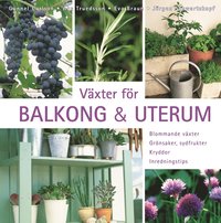 V�xter f�r balkong & uterum : blommande v�xter, gr�nsaker, sydfrukter, kryddor, inredningstips