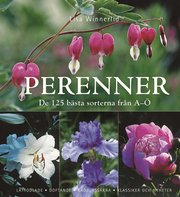 Perenner : de 125 b�sta sorterna fr�n A-� (inbunden)
