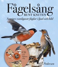 F�gels�ng runt knuten : Sveriges vanligaste f�glar i ljud och bild (inbunden)