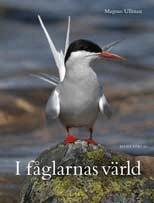 I f�glarnas v�rld (inbunden)