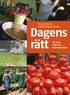 Dagens r�tt : om mat, makt och m�nniskov�rde