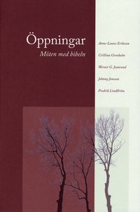 �ppningar : M�ten med bibeln (pocket)