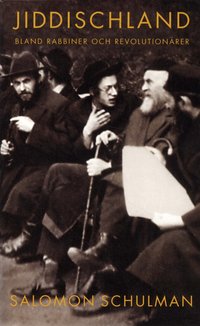 Jiddischland : bland rabbiner och revolution�rer (h�ftad)