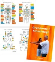 Grunderna i kinesiologi : alternativmedicinska behandlingsmetoder (Bok + plansch) (h�ftad)