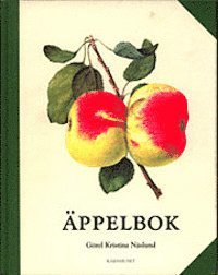 �ppelbok (kartonnage)