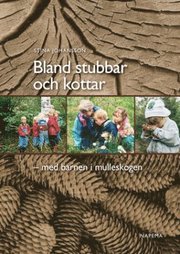 Bland stubbar och kottar (häftad)