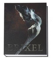 Brixel (inbunden)