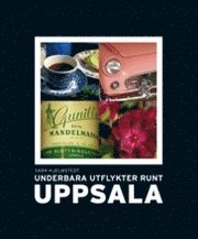 Underbara utflykter runt Uppsala (h�ftad)