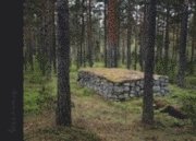 Stenminnen : de sm�l�ndska stenmurarna - ett kulturarv (inbunden)