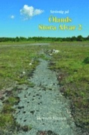 Str�vt�g p� �lands Stora Alvar 2 (h�ftad)