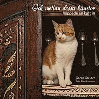 Och mellan dessa k�nslor hoppade en katt in (inbunden)
