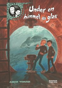 Under en himmel av glas (kartonnage)