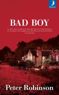 Bad boy (kartonnage)