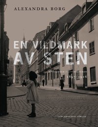 En vildmark av sten : Stockholm i litteraturen 1897-1916 (inbunden)