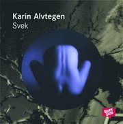 Svek (mp3-bok)