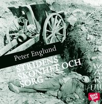 Stridens sk�nhet och sorg : f�rsta v�rldskriget i 212 korta kapitel Book2go (ljudbok)