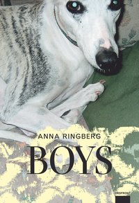 Boys (inbunden)