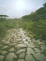 Via Tiburtina Space, Movement & Artefacts in the Urban Landscape (inbunden)