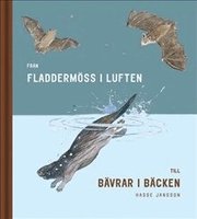 Fr�n fladderm�ss i luften till b�vrar i b�cken (inbunden)
