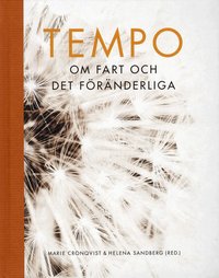 Tempo : om fart och det f�r�nderliga (h�ftad)