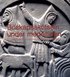 Boskapssk�tseln under medeltiden : en k�llpluralistisk studie