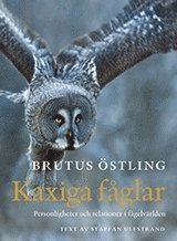 Kaxiga f�glar : personligheter och relationer i f�gelv�rlden (inbunden)