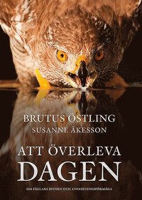 Att �verleva dagen : om f�glars sinnen och anpassningsf�rm�ga (inbunden)