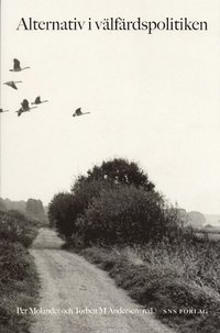 Alternativ i v�lf�rdspolitiken. Hur vi m�ter en �ldrande befolkning och int (h�ftad)
